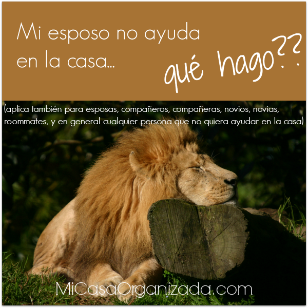 Mi esposo está confundido ¿Por qué? - 279081 -
